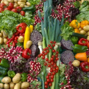 21,500 + seeds Emergency Survival Bank 42 variety [ Medicinal-Edible-Herbal ]